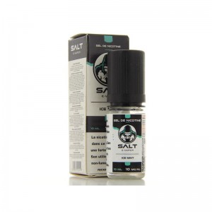 ICE MINT 10ML SELS DE NICOTINE (SALT E VAPOR)