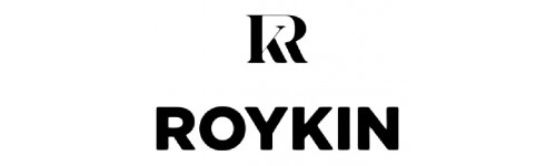 Roykin