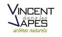 Vincent dans les vapes